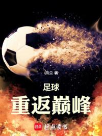足球：重返巅峰