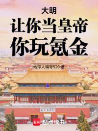 大明：让你当皇帝，你玩氪金！